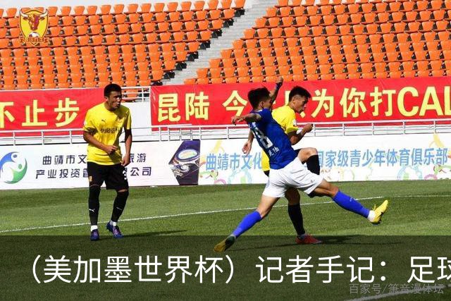 （美加墨世界杯）记者手记：足球世界，规则谁定？