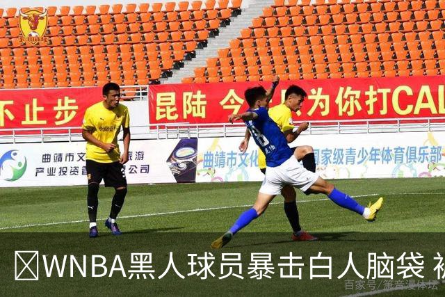 😅WNBA黑人球员暴击白人脑袋 被驱逐后发推：白人有特权！