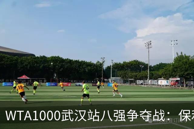 WTA1000武汉站八强争夺战：保利尼意外出局，卡尔塔尔强势晋级